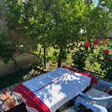 Villa Zefi Rrenc Papaj Εξωτερικό φωτογραφία
