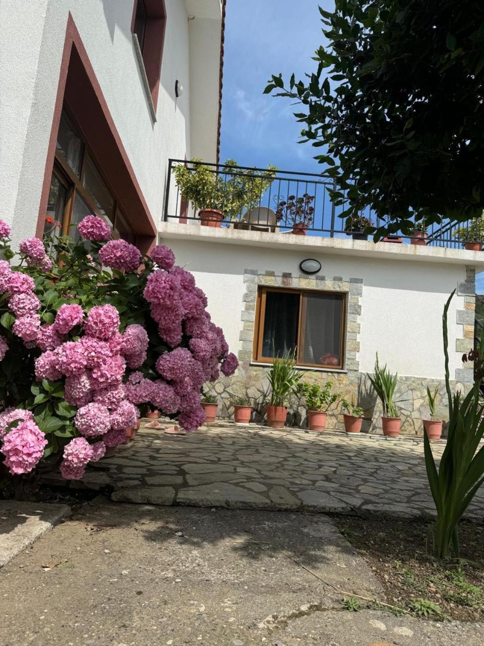 Villa Zefi Rrenc Papaj Εξωτερικό φωτογραφία