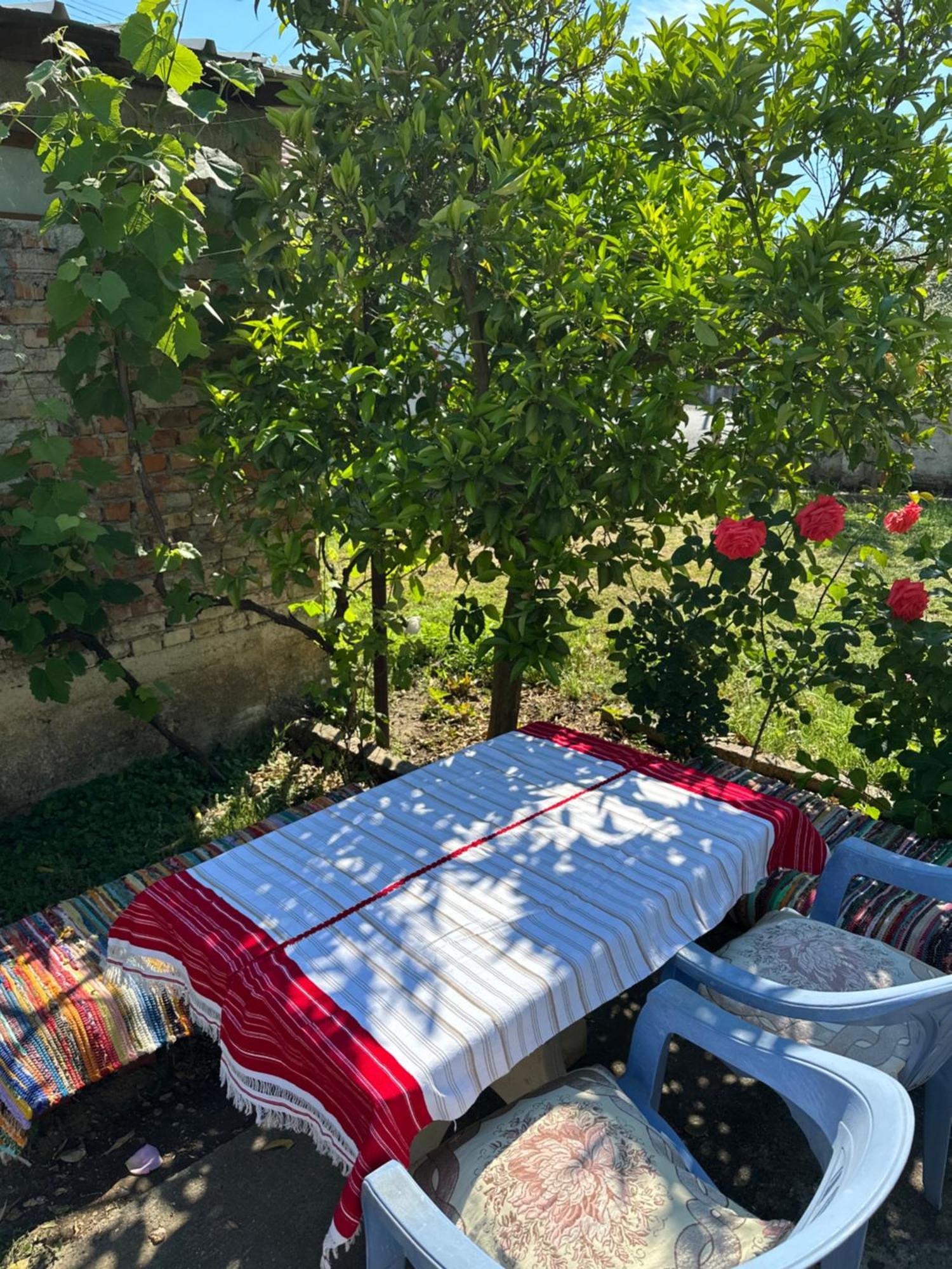 Villa Zefi Rrenc Papaj Εξωτερικό φωτογραφία
